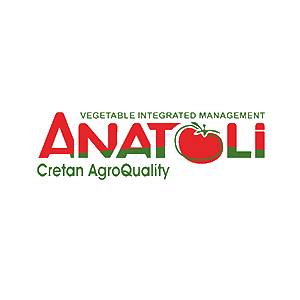 anatoli.png